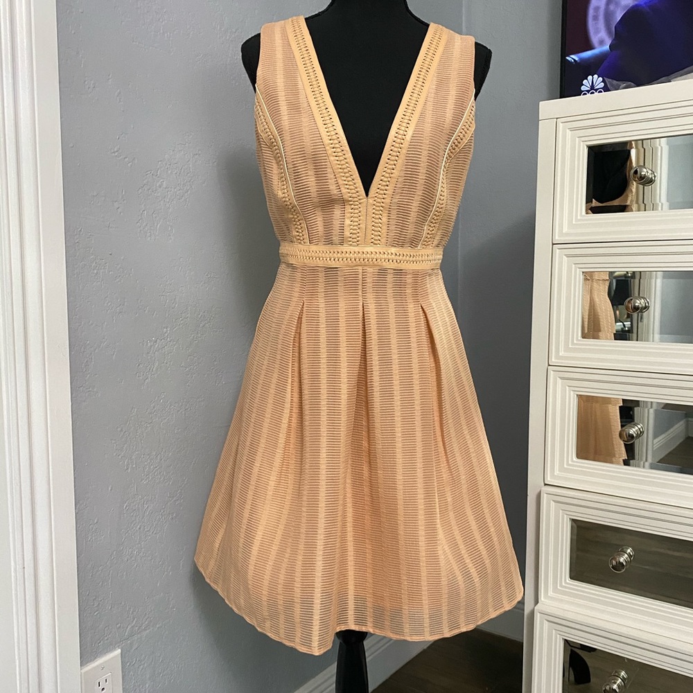 Fit and Flare Dress